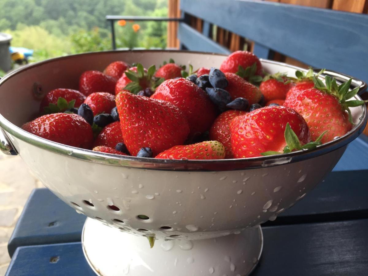 Rose Hip Hill Farm Bed & Breakfast Valea Tirnei Luaran gambar