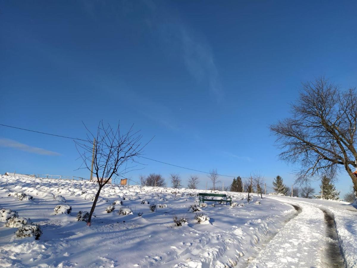 Rose Hip Hill Farm Bed & Breakfast Valea Tirnei Luaran gambar