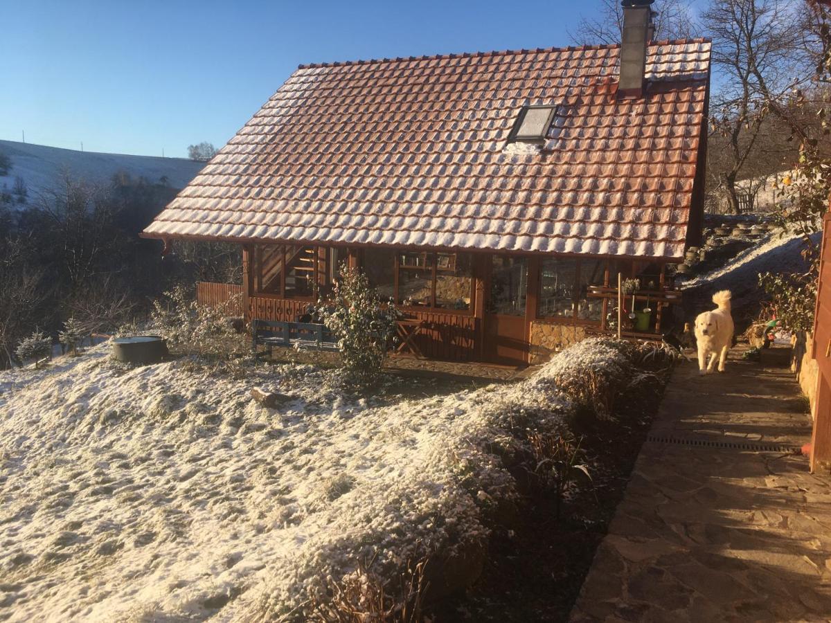 Rose Hip Hill Farm Bed & Breakfast Valea Tirnei Luaran gambar